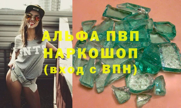 эйфоретик Тайга