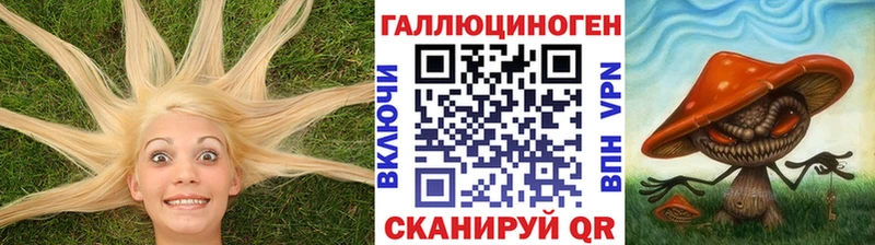 Псилоцибиновые грибы Psilocybine cubensis  где продают наркотики  Верхняя Пышма 