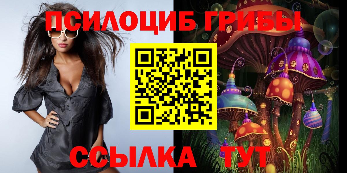 Верхняя Пышма  Псилоцибиновые грибы GOLDEN TEACHER  Вход с VPN  Галлюциногенные грибы прущие грибы 