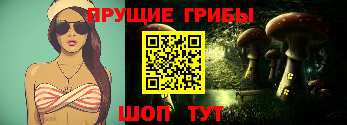 Галлюциногенные грибы Psilocybine cubensis Верхняя Пышма